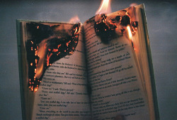  O livro pode ser queimado, mas a história