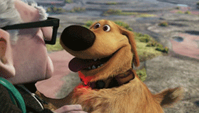 you-can-breathe-now:  SQUIRREL!  haha, gpoy.