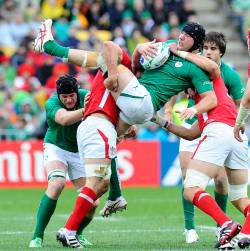  Chopping the big tree! Ireland flanker Stephen