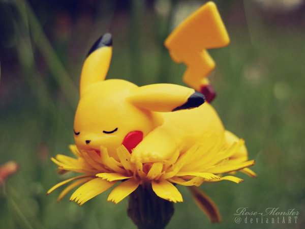 Naww