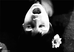 littlebitofritz