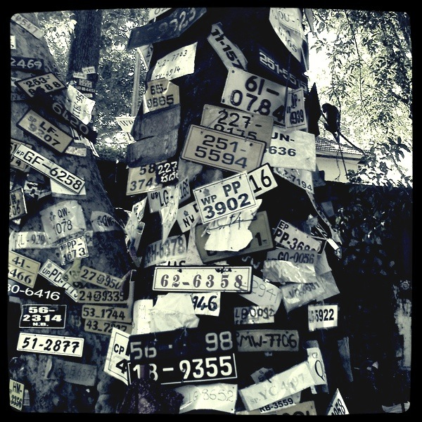 The Number Plate Tree