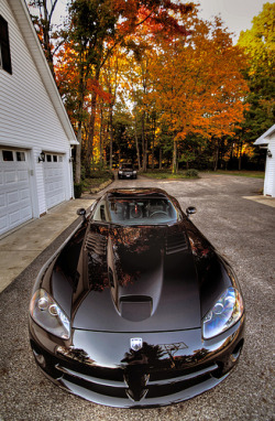 automotivated:  Autumn Viper (by WIS Photography)