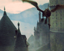 Hogwarts, cadê minha carta?