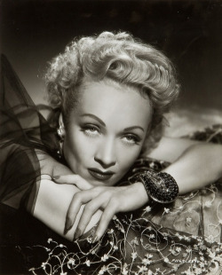 noirwhale: Marlene Dietrich X. photo by Whitey