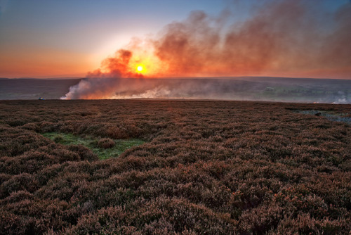 Autumn on the Moors - Explored 15/10/11 by mark_mullen on Flickr.