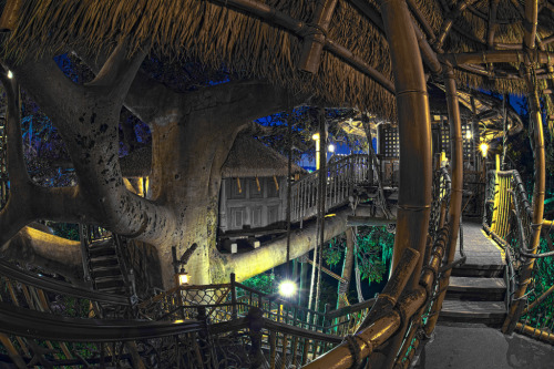 Did you know? The sixty feet tall, ninety feet wide Swiss Family Treehouse has over three-hundred th
