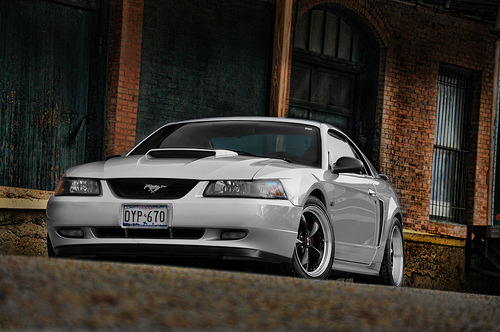 Pure Muscle