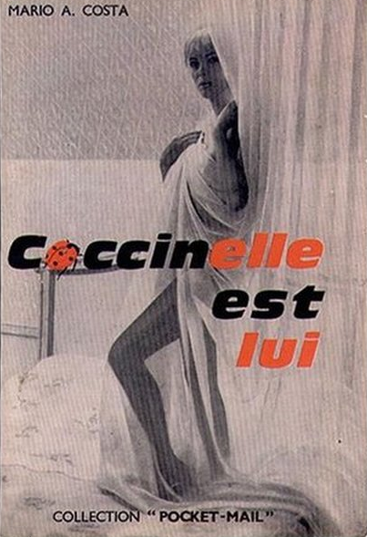 bornagainblog:  coccinelle