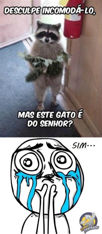 Todos ri -NN