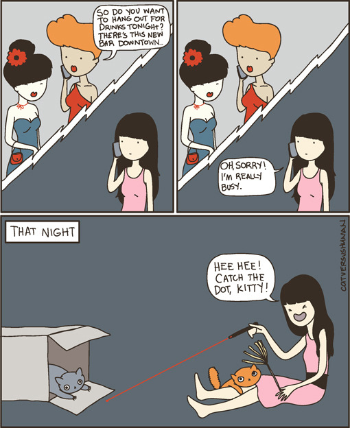 thedailywhat:  cat versus human. 