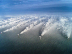 letslook4treasure:  Turbine contrails: The above photograph shows the turbulence field in the Horns Rev 1 offshore wind  farm near Denmark. Unique meteorological conditions on the 12th of February (2008) resulted in the wind turbines creating condensation
