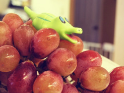 littlestcrocodile:  Wahh! ≧∇≦ I’m king of the grapes! 