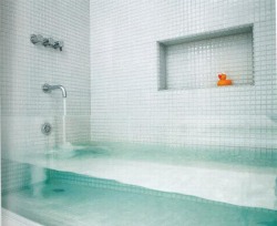 I want one D:
