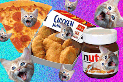 donttrustthesebitchez:  Omg nutella and nuggets and cats and pizza. 