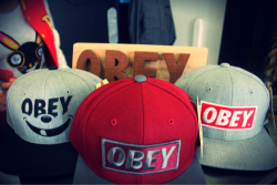 Obey