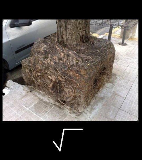 lazyasiannguyen:  If you dont get it….be Asian  