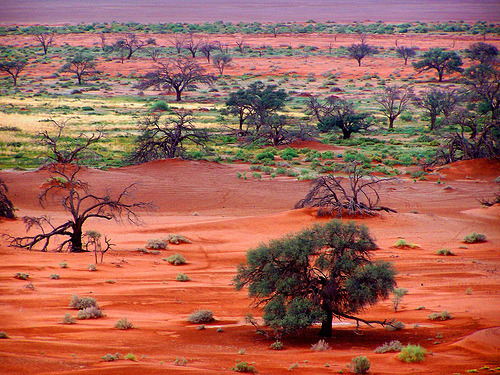 Sossusvlei Landscape | Namib Desert, Namibia©  geoftheref