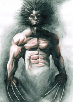 wolverineholic:  by Mubashar Ahmad 