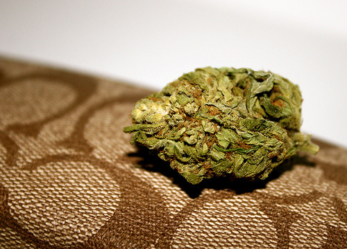 thatsgoodweed:  designer dank 