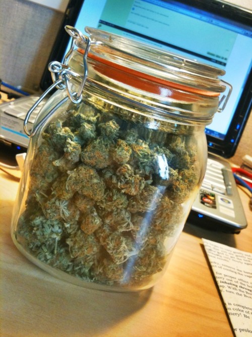 thatsgoodweed:  enough is never enough 