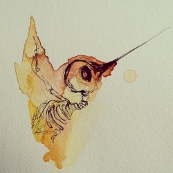 dessiedoesart:  Hummingbird Skeletons  