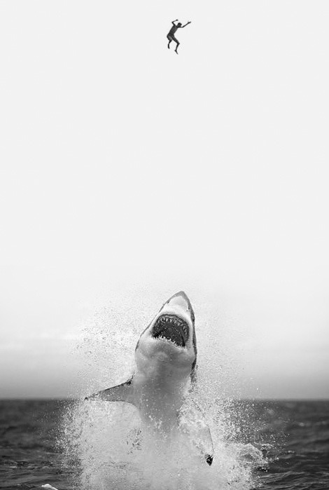 Um Viva pra Liberdade