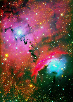 weareallstarstuff:  NGC 6559 