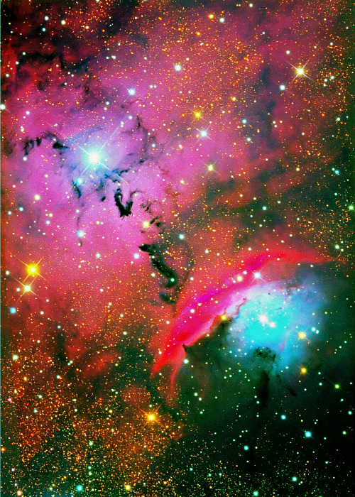 Porn Pics weareallstarstuff:  NGC 6559 