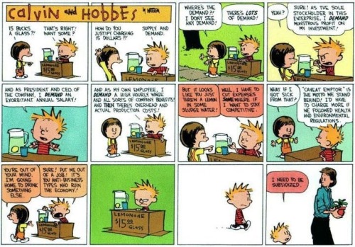 curiositycounts:Decades-old Calvin and Hobbes comic strip succinctly explains the Occupy Wall Street