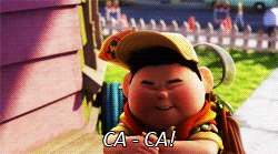 brandurnso:  Up (2009) 