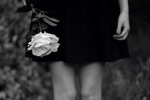 precious little secrets.