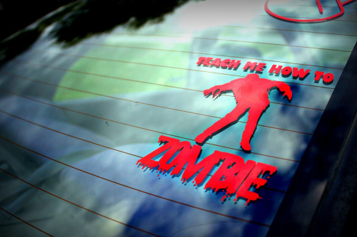 canimuff:  teach-me-how-to-zombie:  All the stickers on my car. The last one is the emblem on the front of my car.   ‘cept for the illest these are all rad!