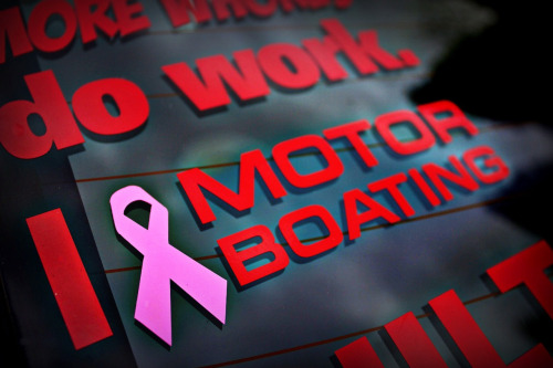 canimuff:  teach-me-how-to-zombie:  All the stickers on my car. The last one is the emblem on the front of my car.   ‘cept for the illest these are all rad!