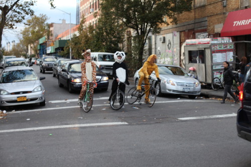 halloweenorwilliamsburg:  Ugh, morning commutes, AMIRITE?