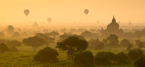 hot air balloons