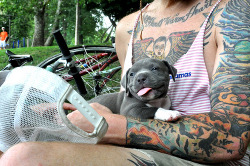 beer.tattoo.boobs