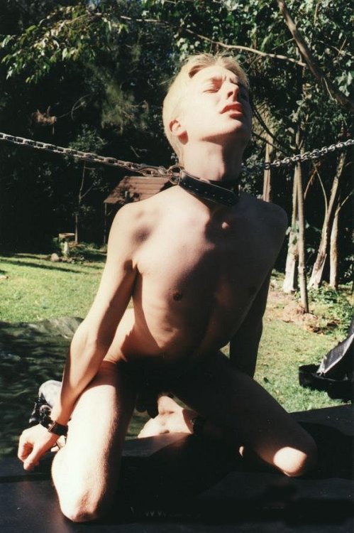ThE Society of lust and pain