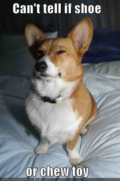 dimbosama:  Okay, so I just made this. I call him Fry Dog… enjoy. 