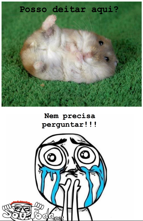 Um Trecho