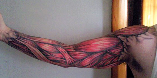 inkarmy:  SOLDIERS: Check out this Anatomical tattoo! See more cool Anatomy tattoos