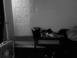 tyleroakley:  dandelion-hands:  i think there might be a gay ghost in my house. i recorded this video earlier and happened to notice something strange in the hallway. after i set it in grayscale, it was extremely noticeable.  Aaaaaaaand I’m dead.