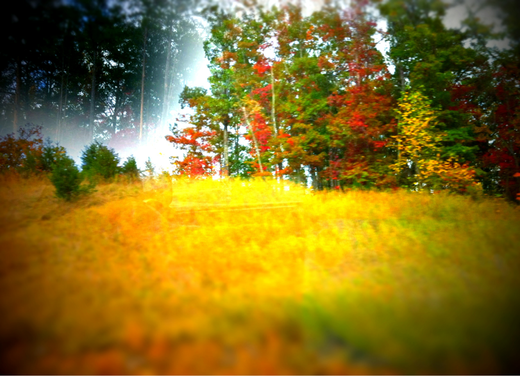 HDR out of moving car for double exposure, then run through Tilt Shift Generator for kicks.