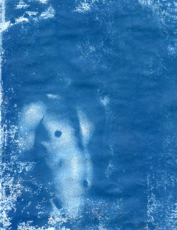 homo-online:  NaesI Studio | Cyanotype experiment HOMO MAGAZINE 