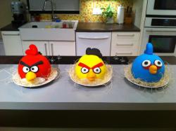 osmosislord:  notoriouscupcakes:  angry birds