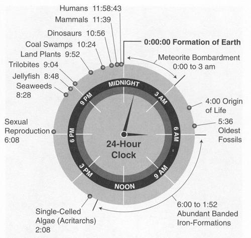 world-shaker:If the Life of the Earth was reduced to a 24 hour clock
