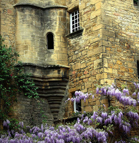 bluepueblo:  Sarlat, France  by Yvan LEMEUR 