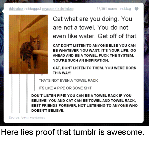 omg im dying
