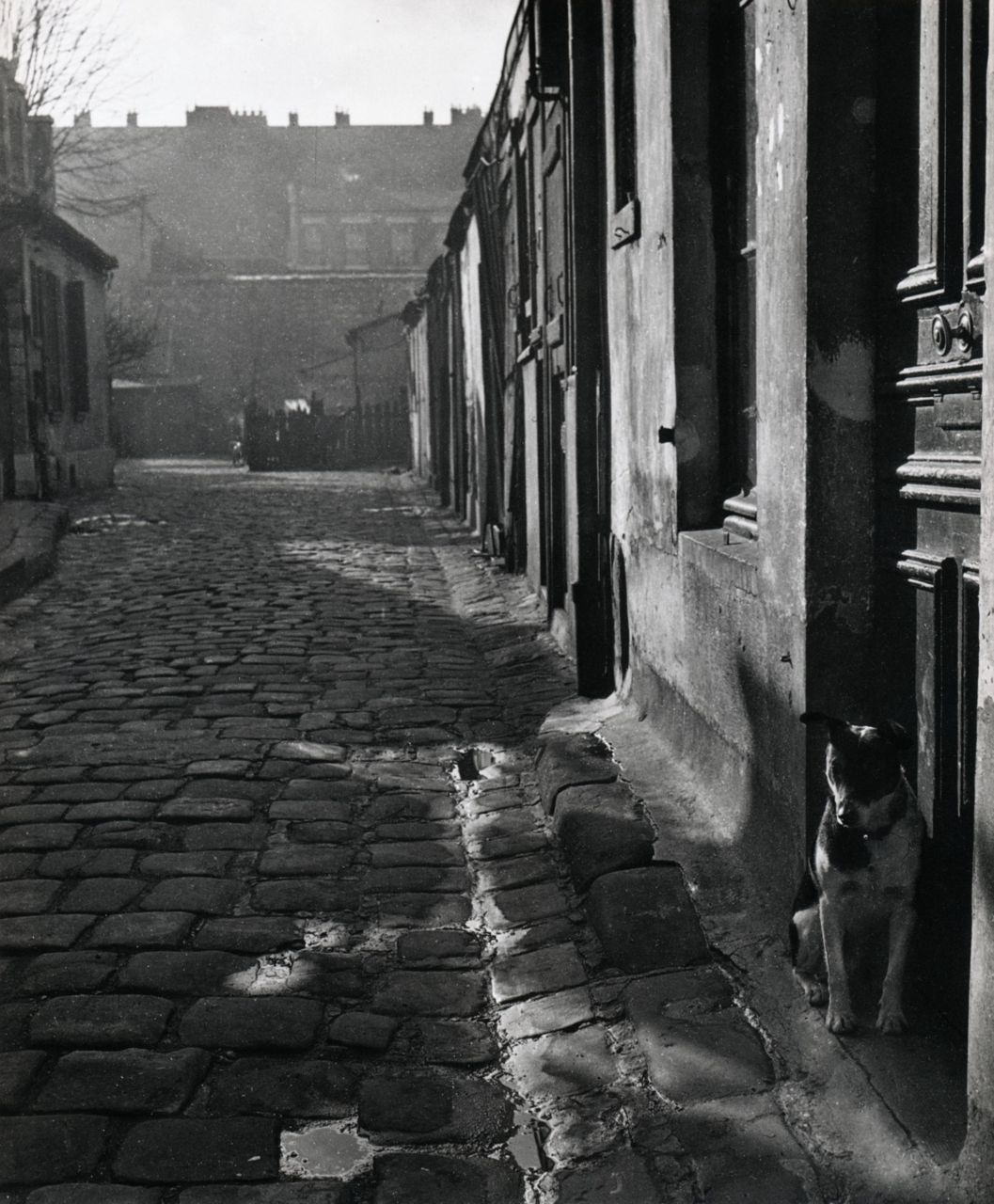 liquidnight:  Izis 225 Rue d’Alésia Paris, 1946 From Izis: Captive Dreams - Photographs,