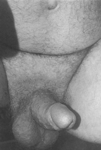 Follow Me On Twitter Peter de Sade@Hroland47Pete